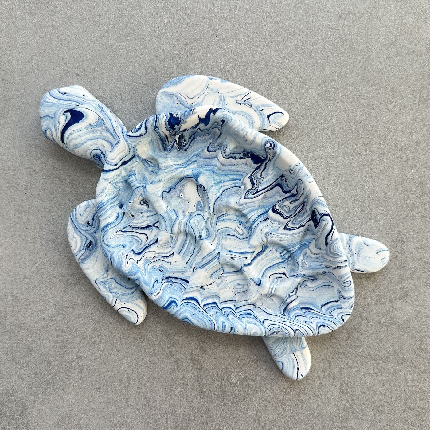 Tidal Turtle dish